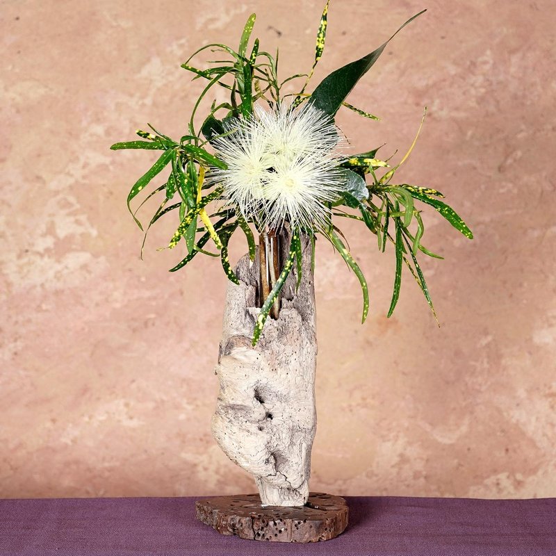 日本屋久岛手工流木花瓶 复古自然风单轮插 86 - 花瓶/陶器 - 木头 咖啡色