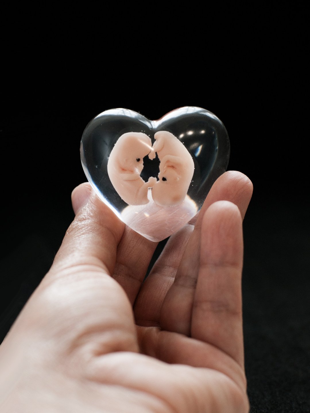 Twins Embryo 8 weeks cast in resin, 8 weeks pregnant, bereavement fetus - 玩偶/公仔 - 树脂 