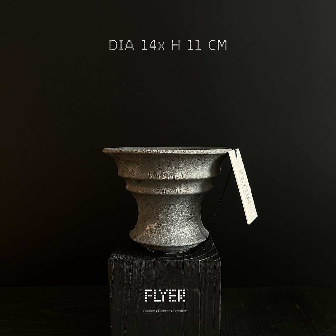 FLYER 块根多肉植物陶盆器 龙舌兰象牙宫象足漆树盆器 - 花瓶/陶器 - 陶 