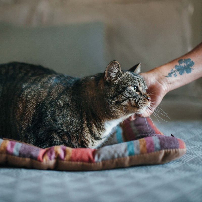 宠物床垫 睡垫 地平线舒活垫 S (4色) 可机洗 - 床垫/笼子 - 环保材料 