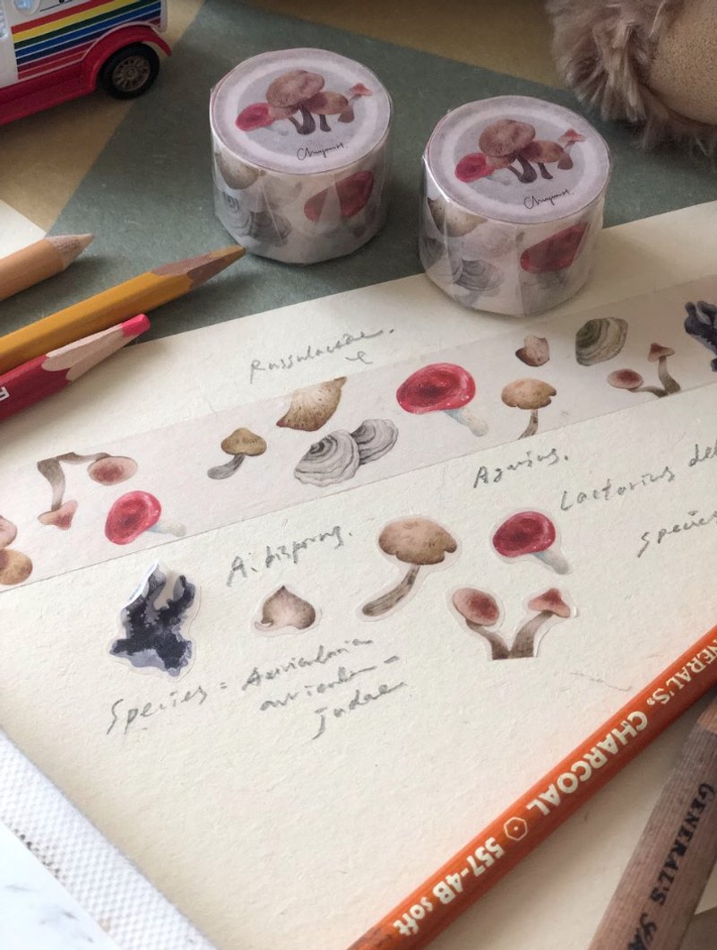 【现货】Chuyun H. 雨后之森和纸胶带 - 纸胶带 - 其他材质 