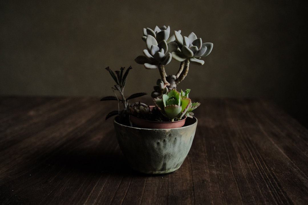 冬季的羊卓雍措・花盆 - 植栽/盆栽 - 陶 绿色