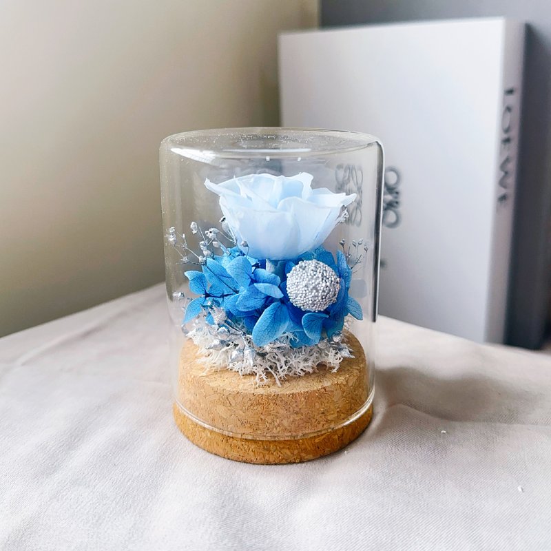 莳漫花间—浪语微光 永生花盅 玻璃盅 - 干燥花/捧花 - 植物．花 蓝色