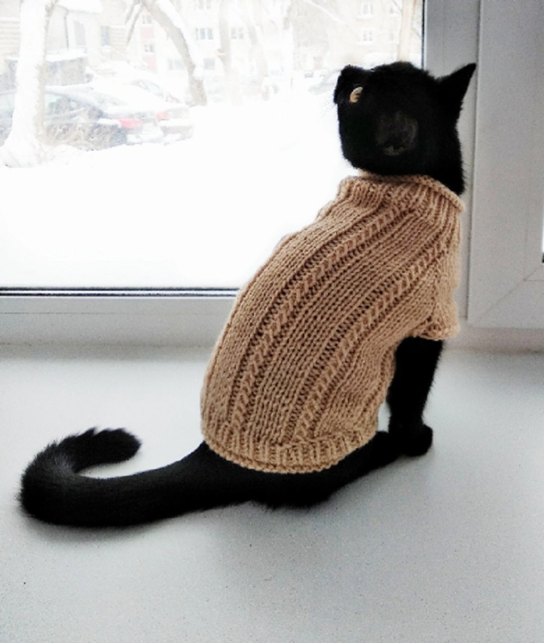 Knitted clothing for cat sphynx Sweater for cat Jumper for sphynx Jumper for cat - 衣/帽 - 羊毛 