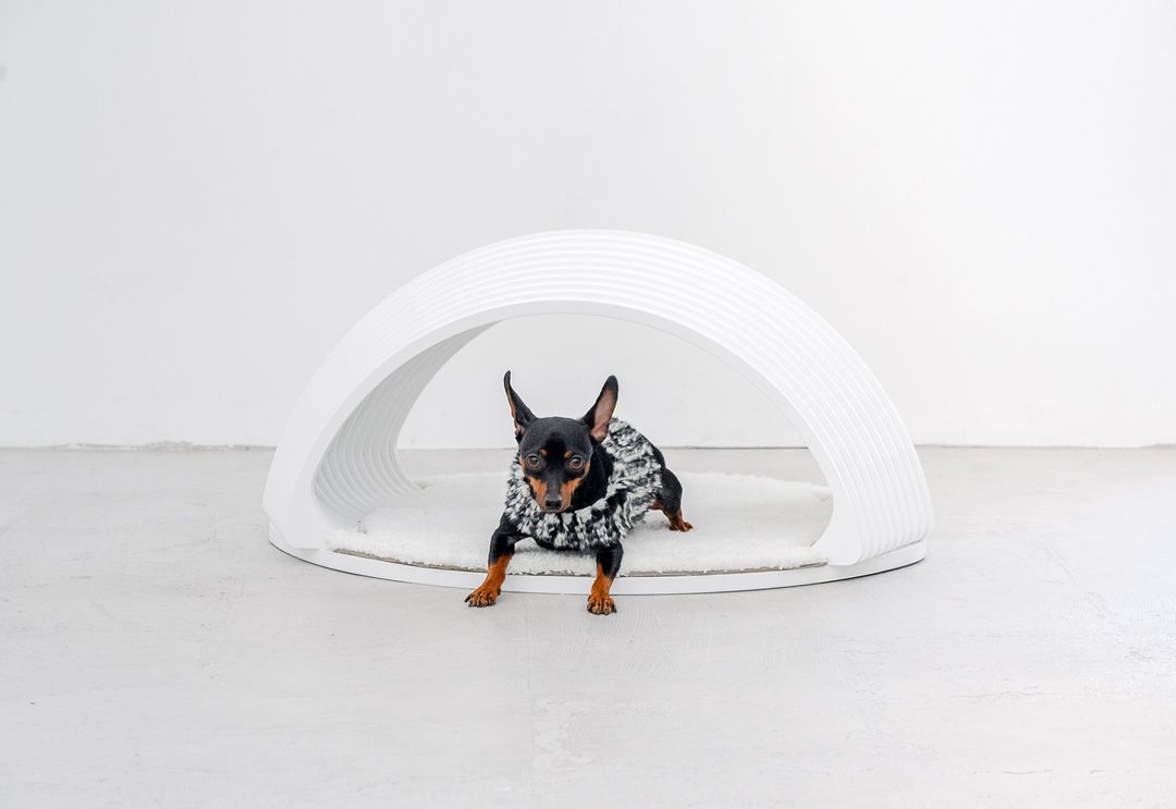 seamless pet house, dome dog house - 其他家具 - 木头 白色