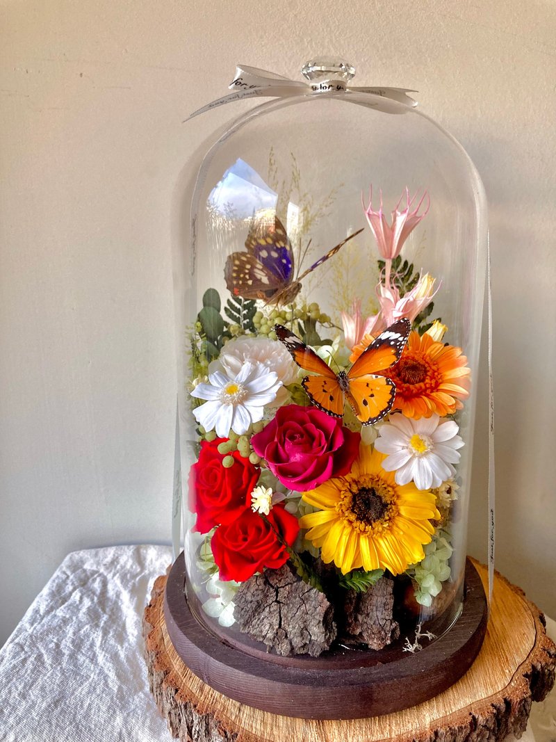 国宝蝶大紫蛱蝶∣永生花玻璃盅∣开幕∣情人节∣入厝∣纪念日 - 干燥花/捧花 - 植物．花 多色