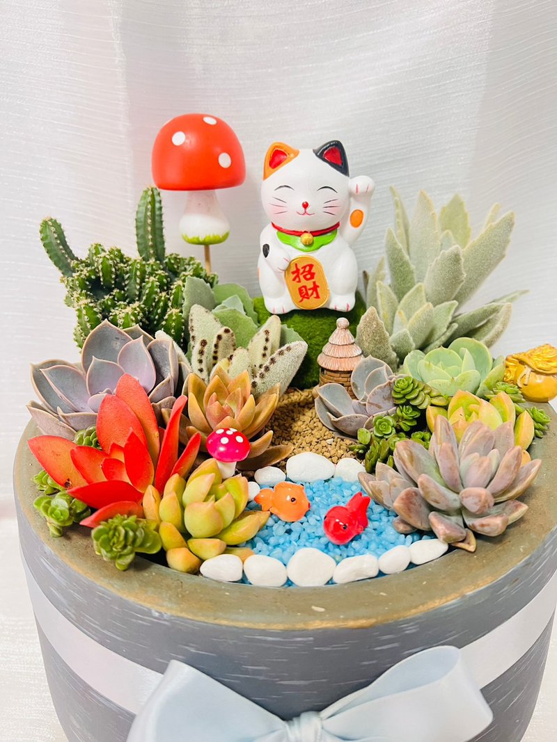 全多肉送礼大方组盆 可宅配 高雄地区专人送到府服务 - 植栽/盆栽 - 陶 