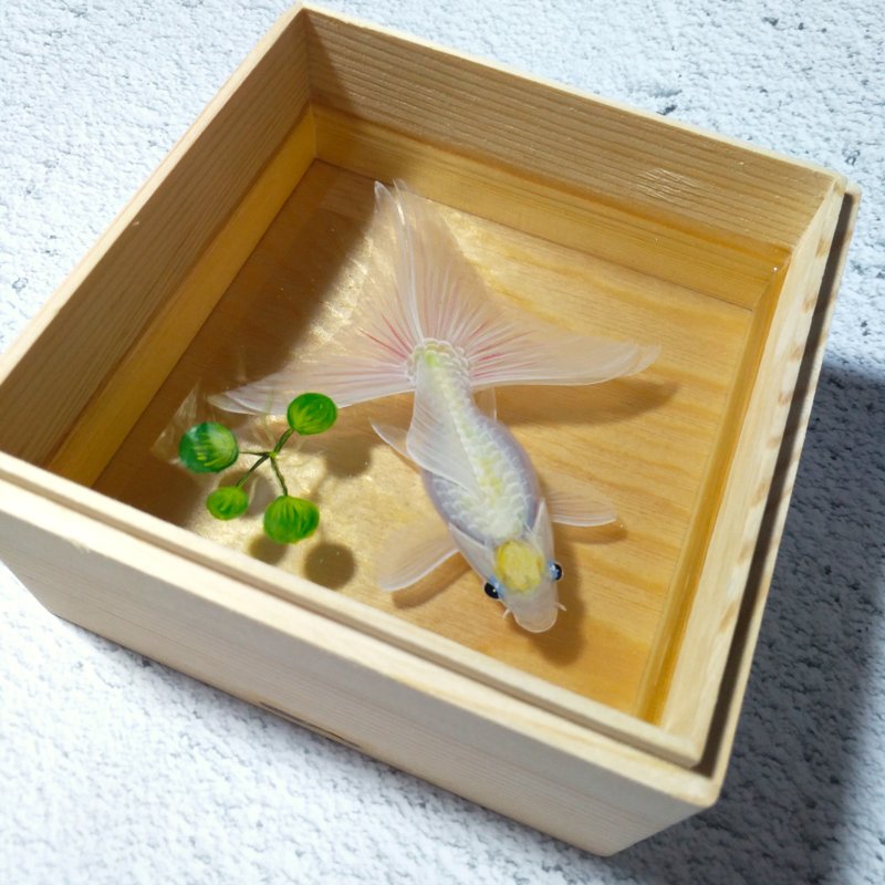不期而遇 一见倾心 3D金鱼手绘树脂画 永生鱼 私人订制 免费改色 - 摆饰 - 树脂 白色