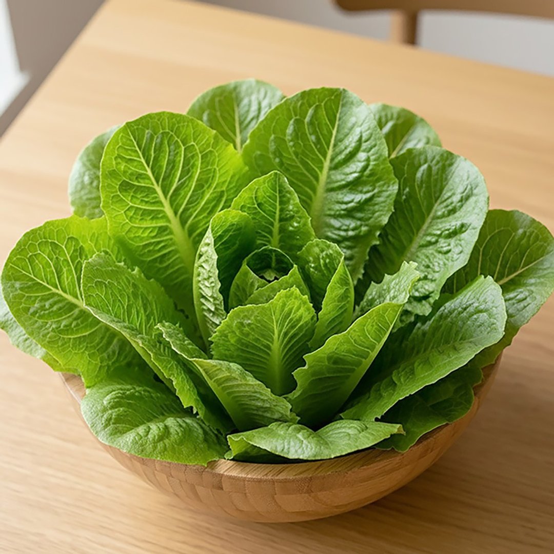 【萝蔓莴苣】两入组 / 水耕 / 生菜 / 宅配 - 其他 - 新鲜食材 绿色