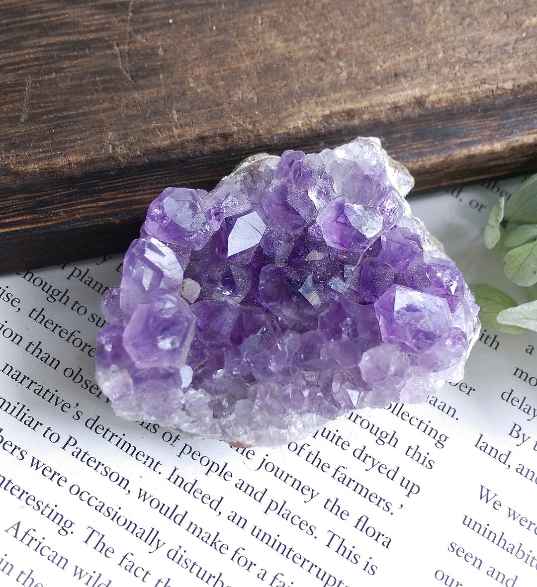 Amethyst 巴西产地 原皮紫水晶  晶簇 天然矿石 原矿 - 摆饰 - 其他材质 