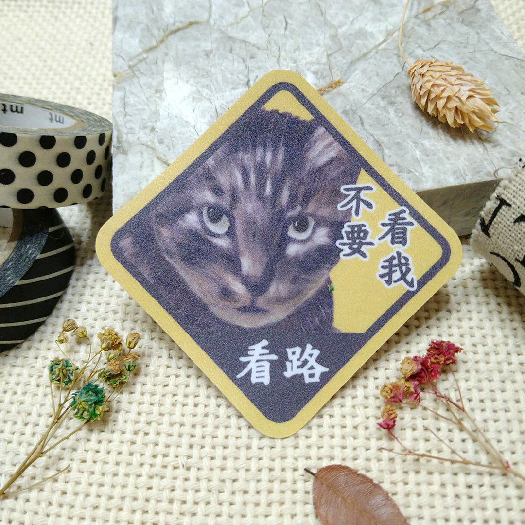 虎皮猫-防水车贴-不要看我看路-猫奴认证-猫咪-奔驰猫-虎纹_防水 - 贴纸 - 防水材质 