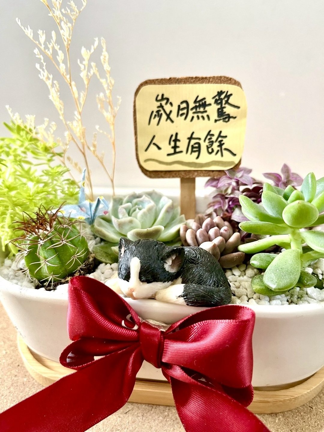多肉组盆 多肉植物 日式枯山水 奔驰猫 猫奴送礼 猫咪 禅意 定制 - 植栽/盆栽 - 植物．花 绿色