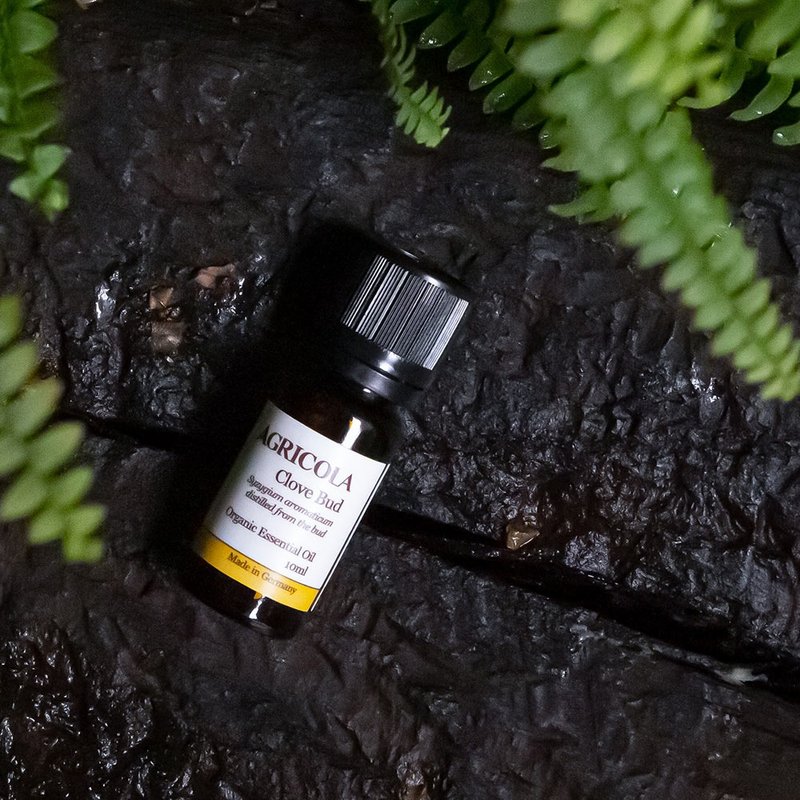 有机丁香花苞精油 - 德国原装进口 纯植物萃取天然扩香 - 香薰/精油/线香 - 精油 黄色