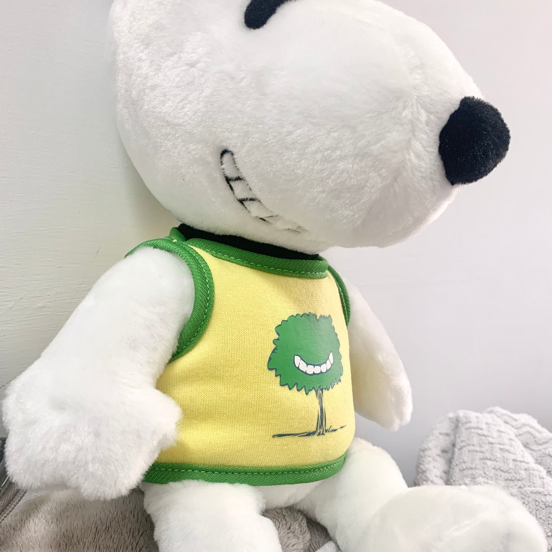 史奴比玩偶 snoopy 史努比 32公分 - 玩偶/公仔 - 聚酯纤维 绿色