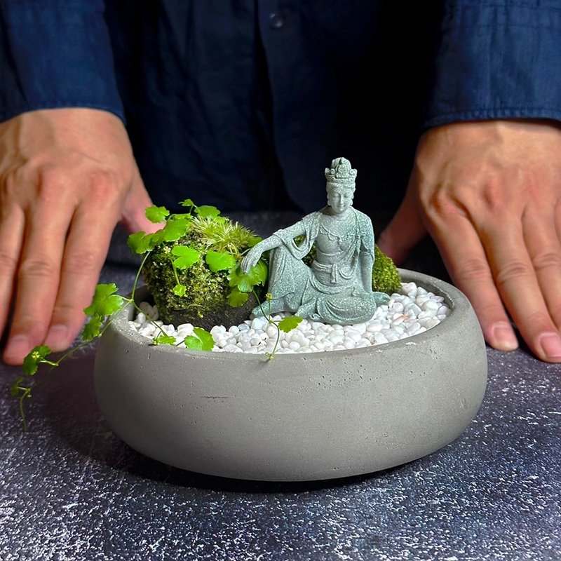 自然苔玉美学 –悠然 / 侘寂风 / 禅风 / 盆栽 / 摆饰 - 植栽/盆栽 - 植物．花 