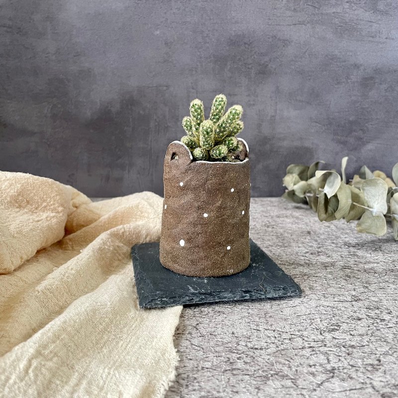可可摩卡多肉植物盆栽花器 - 植栽/盆栽 - 陶 咖啡色