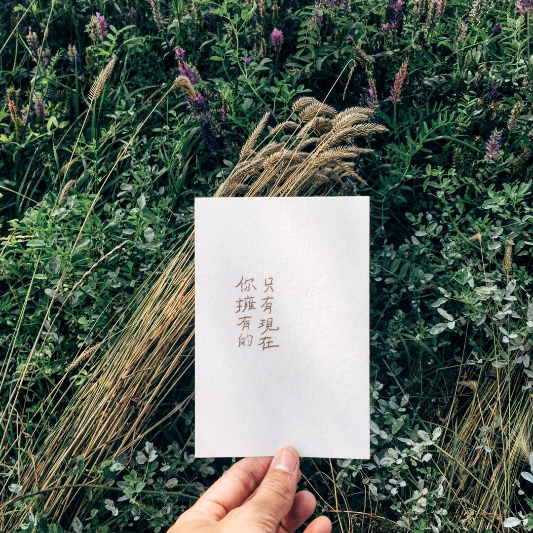 此时此刻。你拥有的只有现在 文字明信片 青青的岛 - 卡片/明信片 - 纸 