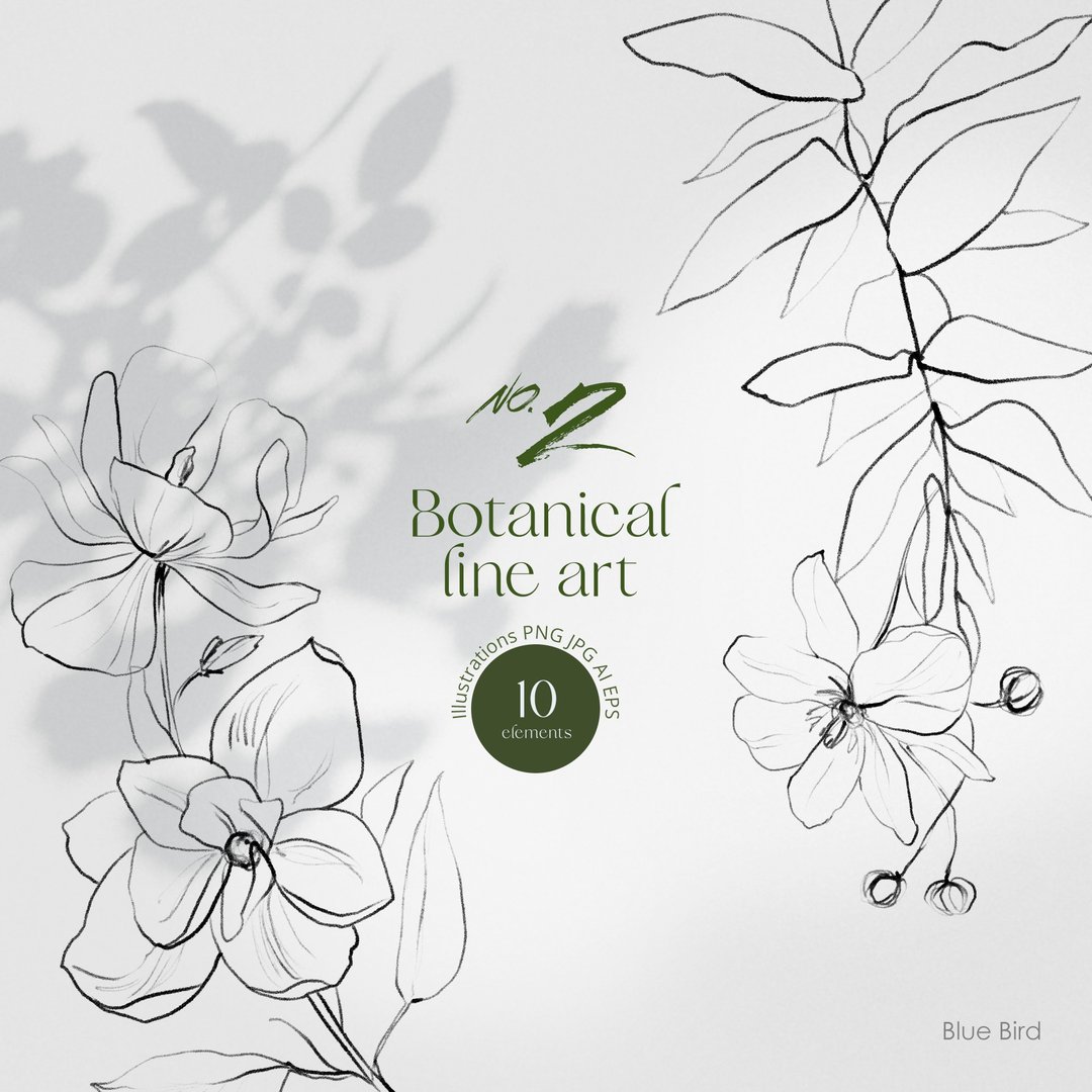 Botanical line art NO. 2. Digital flowers - 其他数码设计 - 其他材质 