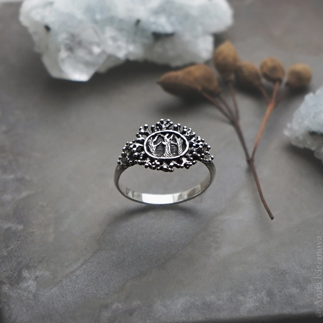 Secret Wood Ring - 戒指 - 纯银 银色