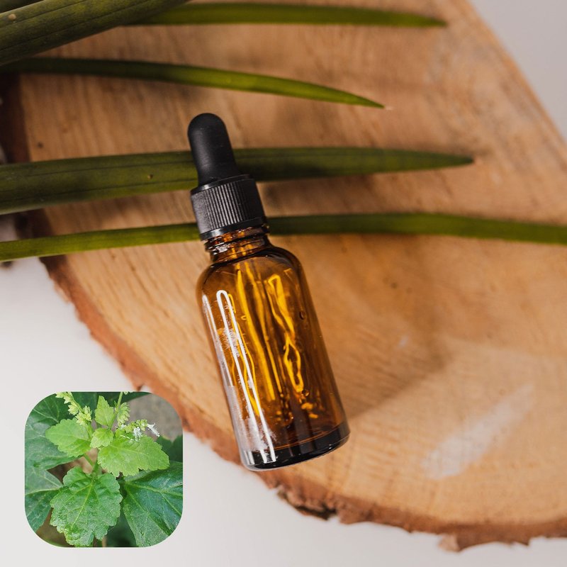 【香间小路】天然精油 广藿香精油 Patchouli( 赠送甜橙精油10ml) - 香薰/精油/线香 - 玻璃 透明