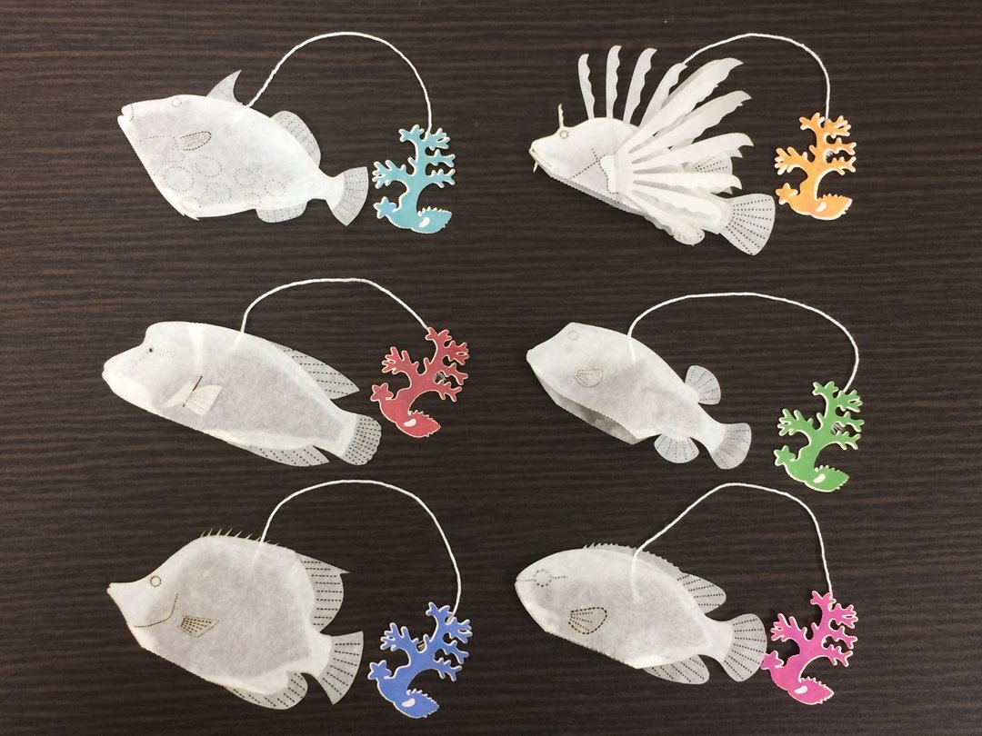 水族馆的品种、一套6个罗汉果茶。 - 茶 - 纸 黑色