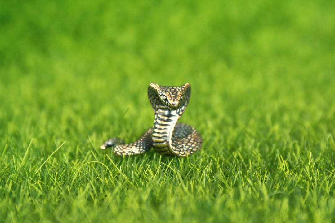 Snake cobra  - miniature statuette of bronze, metal figurine - 摆饰 - 铜/黄铜 