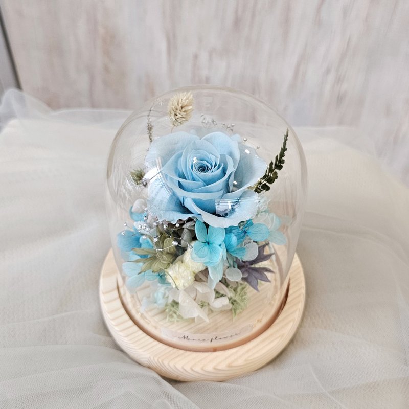 永生玫瑰玻璃罩/槽灯款 水蓝色 现货 快速出货 - 干燥花/捧花 - 植物．花 蓝色