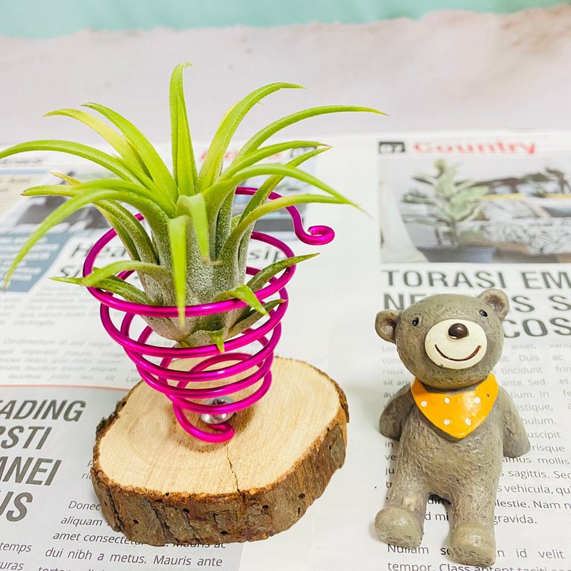 空气凤梨原木片铝线座 空间布置 交换礼物 毕业礼物(不含植物) - 植栽/盆栽 - 其他金属 