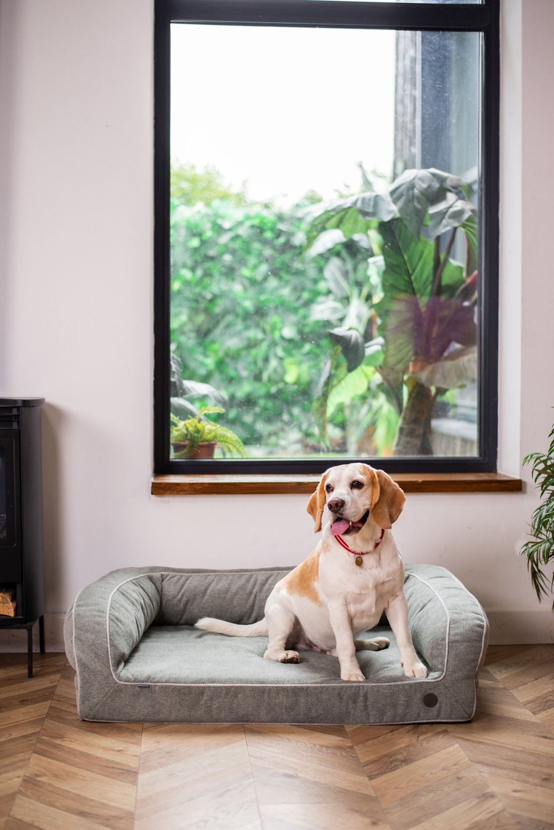 Orthopedic dog bed, Dog couch for dogs size L 110x80 cm / 43x31 inches Grey - 床垫/笼子 - 环保材料 灰色