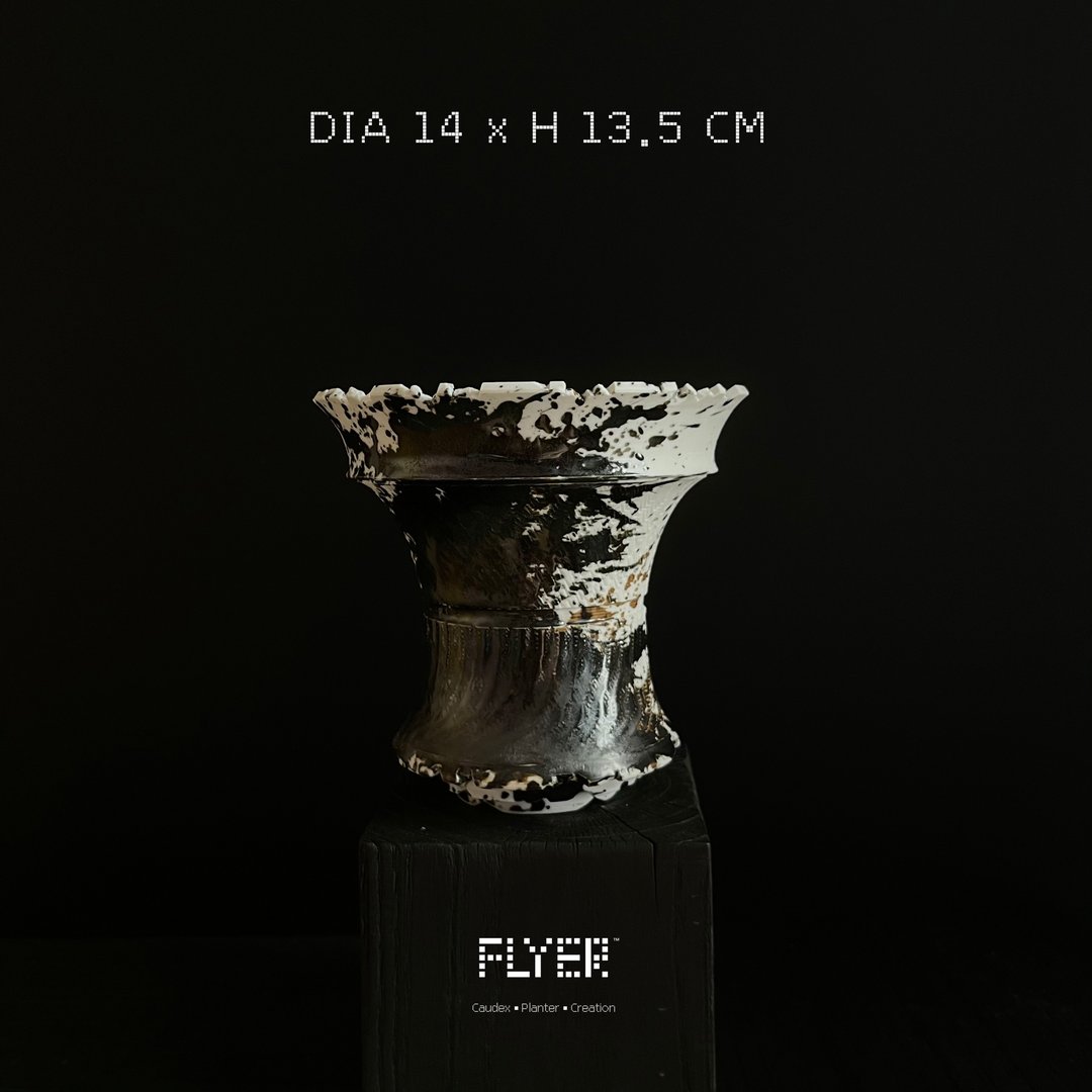 FLYER 块根多肉植物陶盆器 龙舌兰象牙宫象足漆树盆器 - 花瓶/陶器 - 陶 