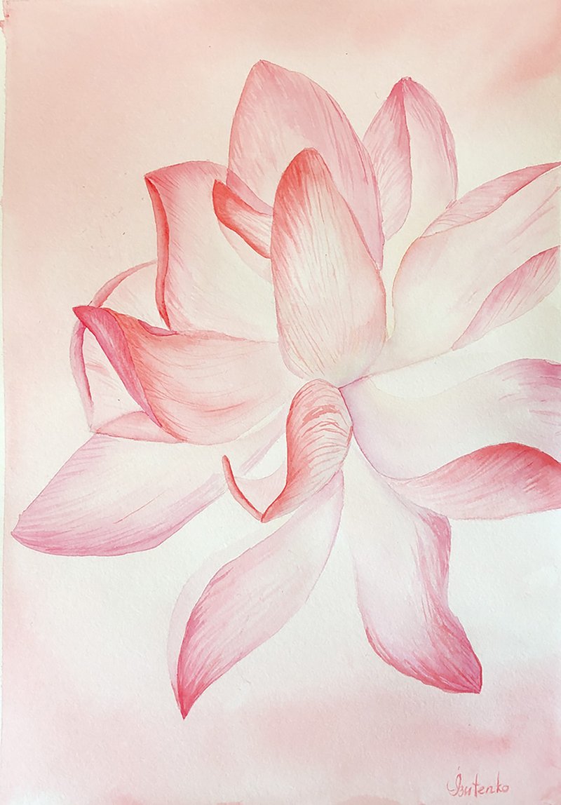 Peony Painting Flower Original Artwork Floral Watercolor Pink Peony Wall Art - 海报/装饰画/版画 - 纸 粉红色