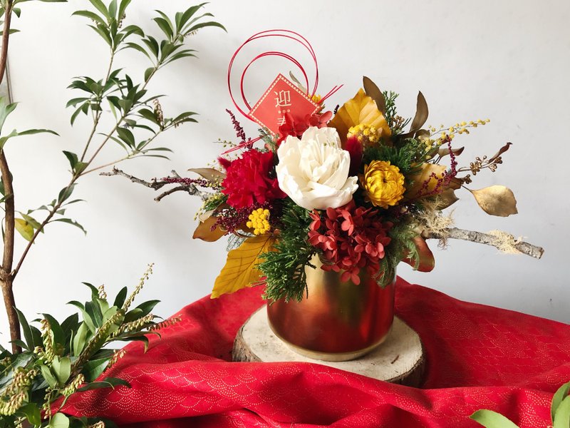 富贵白金迎春永生花盆花 - 干燥花/捧花 - 植物．花 橘色