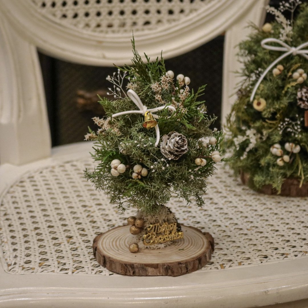 【遇见恒久】DIY材料包 初见雪花干燥雪松木底圣诞树 含教学影片 - 植栽 - 植物．花 