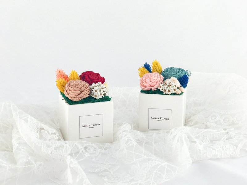 法式浪漫香氛盆花 含送礼包装  礼物 捧花 婚礼 布置 开幕 生日 - 植栽/盆栽 - 植物．花 多色