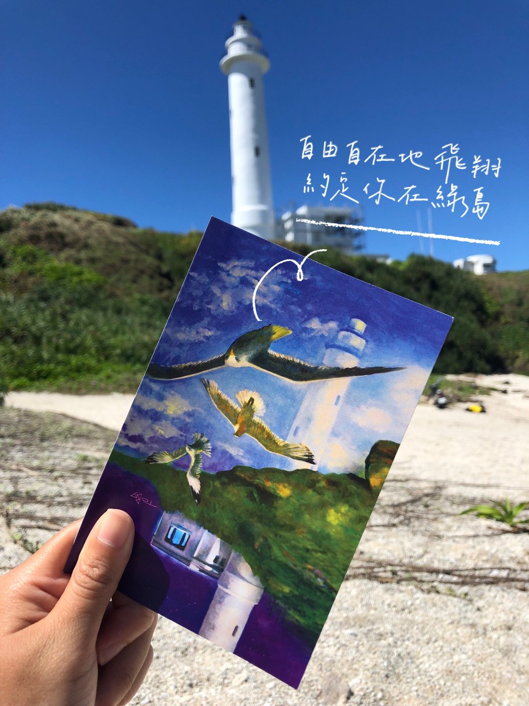 台湾绿岛/手绘/海鸥/灯塔/海/潜水/明信片 - 卡片/明信片 - 纸 绿色