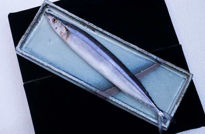 Blue Snow Aoyuki series Very long dish - 盘子/餐盘/盘架 - 陶 蓝色