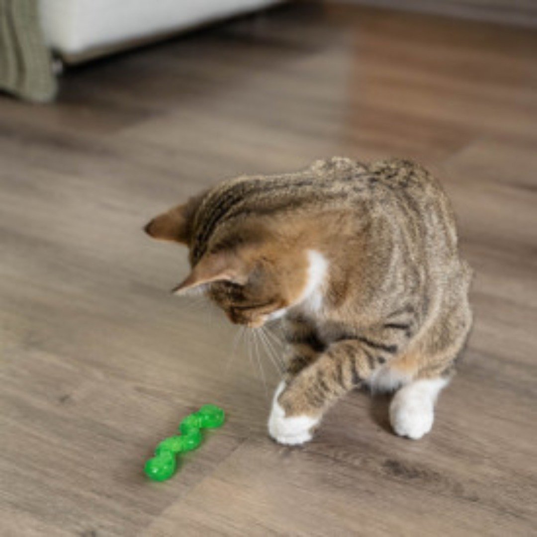 猫玩具 欧卡猫草毛毛虫-绿 帮助按摩猫咪的牙龈 - 玩具 - 其他材质 