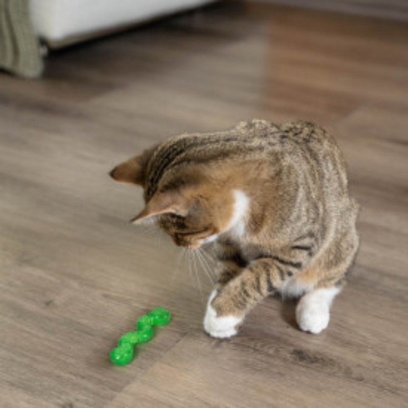 猫玩具 欧卡猫草毛毛虫-绿 帮助按摩猫咪的牙龈 - 玩具 - 其他材质 