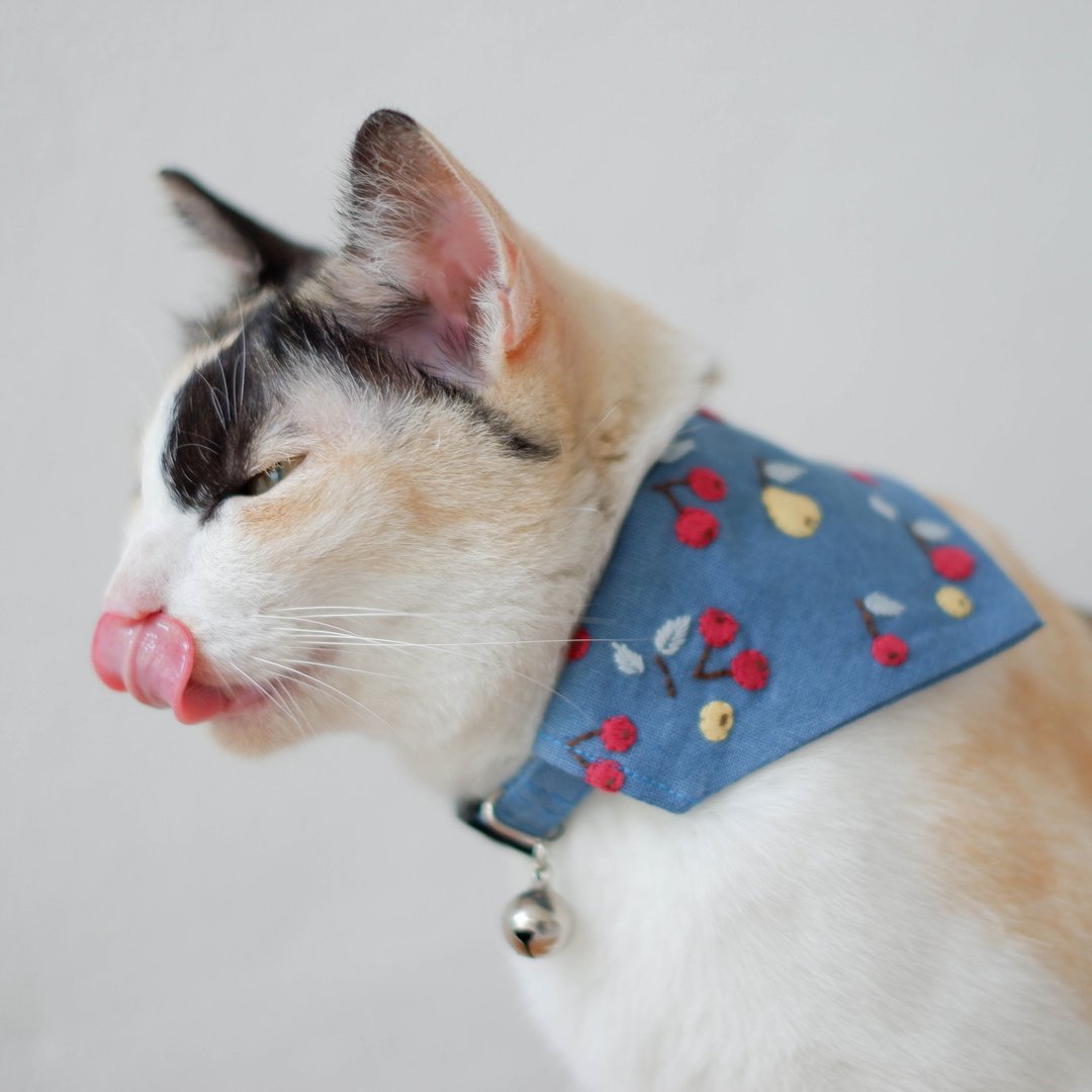 Little forest - Breakaway cat collar : Air-force blue with pears & cherries - 项圈/牵绳 - 棉 蓝色