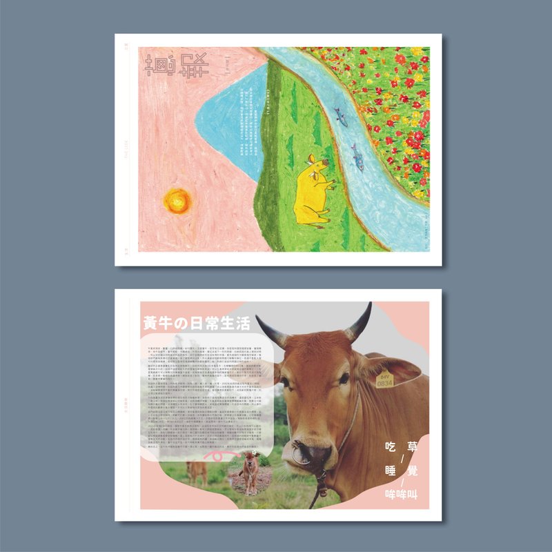 金门黄牛 / 海报 / 刊物 - 海报/装饰画/版画 - 纸 