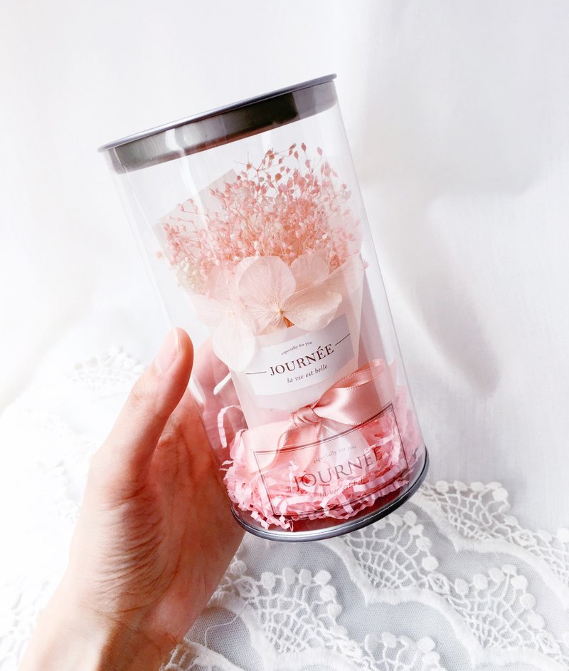 journee 4号小花罐-樱粉满天星 附卡片 / 粉色系干燥花束 - 干燥花/捧花 - 植物．花 粉红色