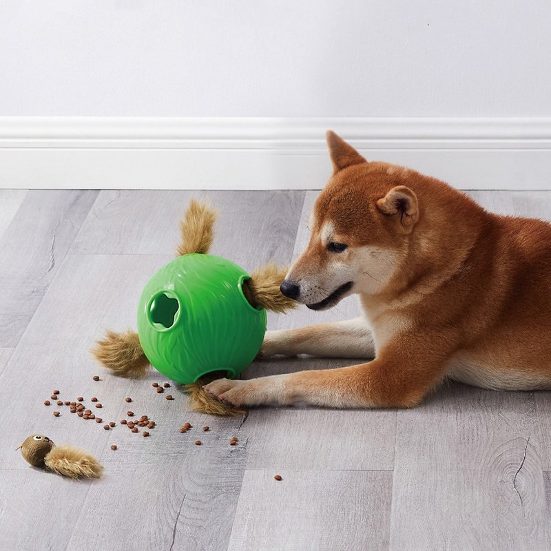 【瑞典益智玩具】旋风狗-藏宝栗鼠 LV.2 宠物玩具 - 玩具 - 橡胶 