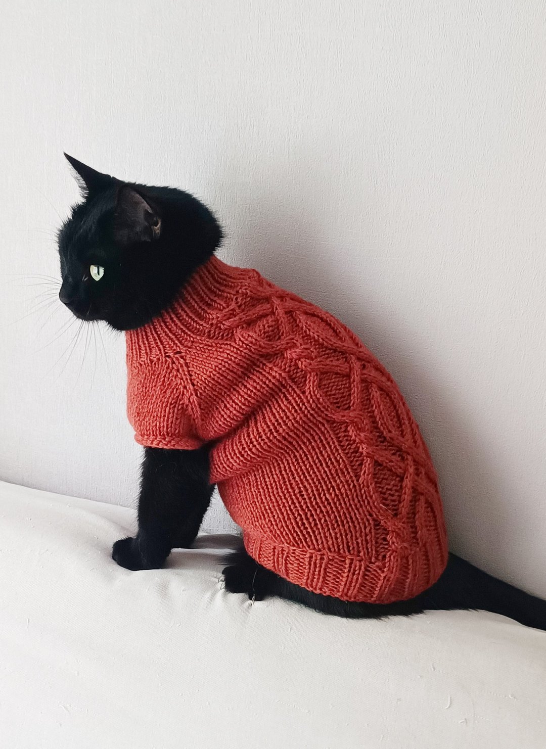 有线电视猫毛衣 斯芬克斯毛衣 羊毛猫毛衣 斯芬克斯猫毛衣 狗狗毛衣 - 衣/帽 - 羊毛 