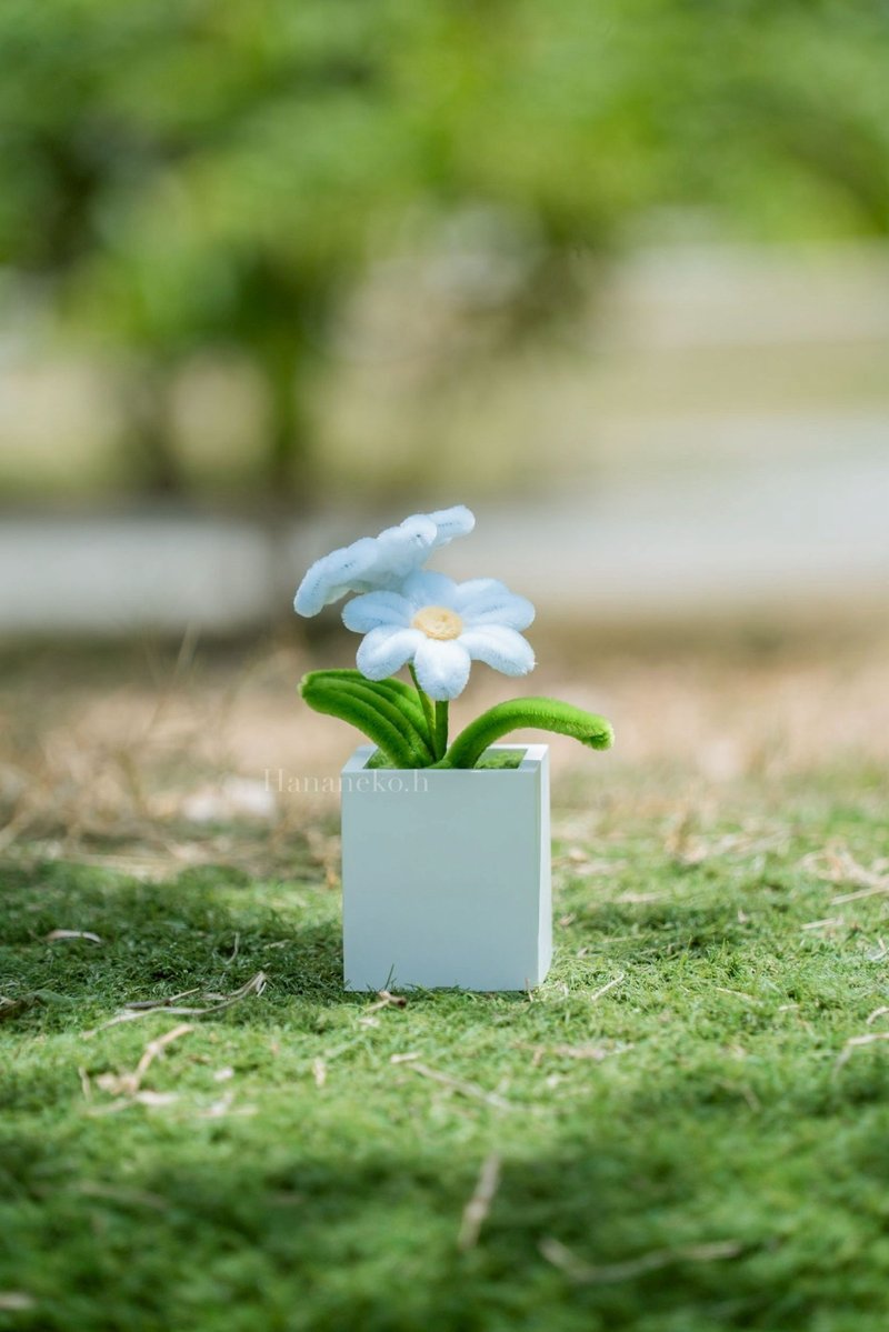 【可定制】毛根花 扩香石 盆栽 花艺香氛 小雏菊 - 香薰/精油/线香 - 植物．花 