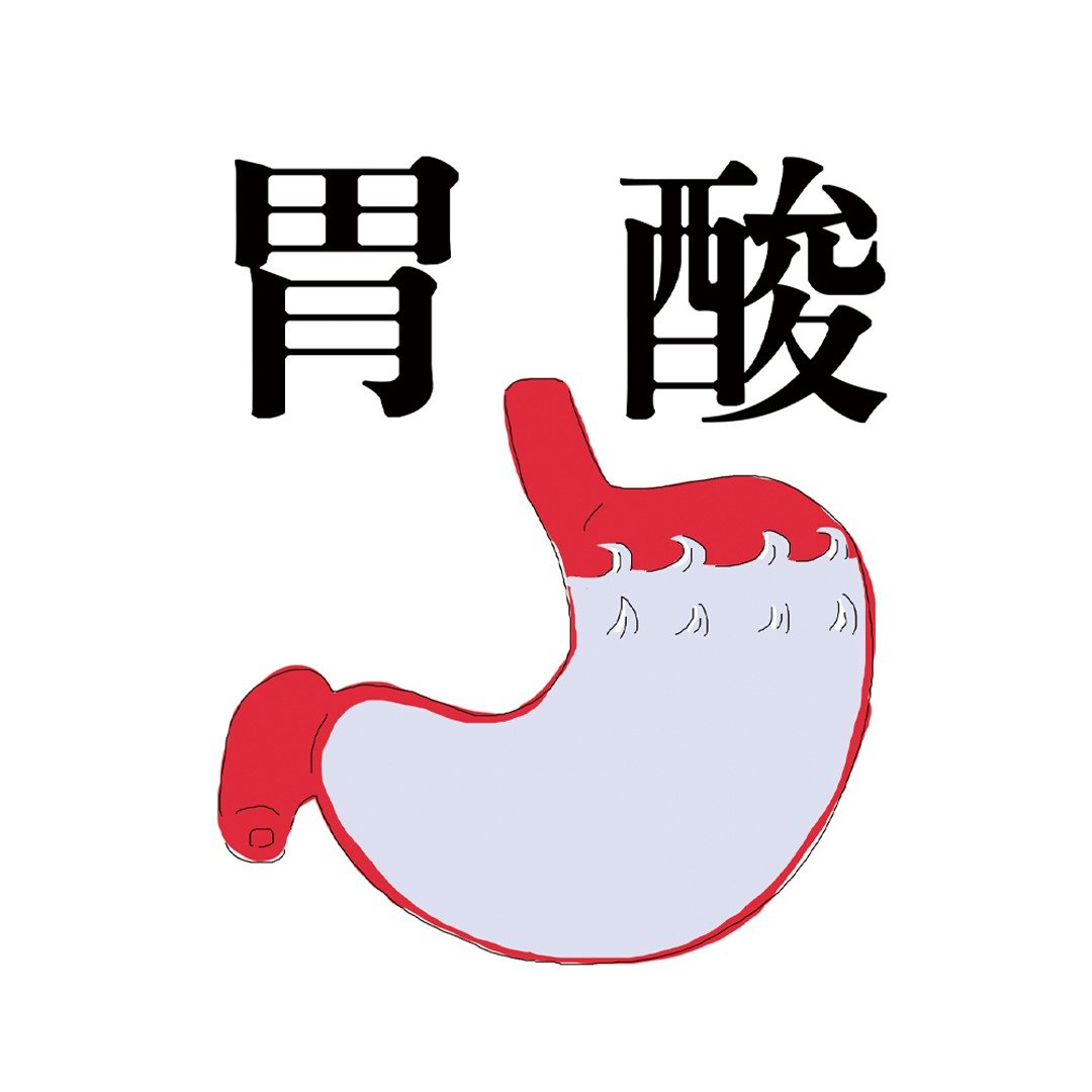 胃酸 T - Shirt - 女装 T 恤 - 棉 多色