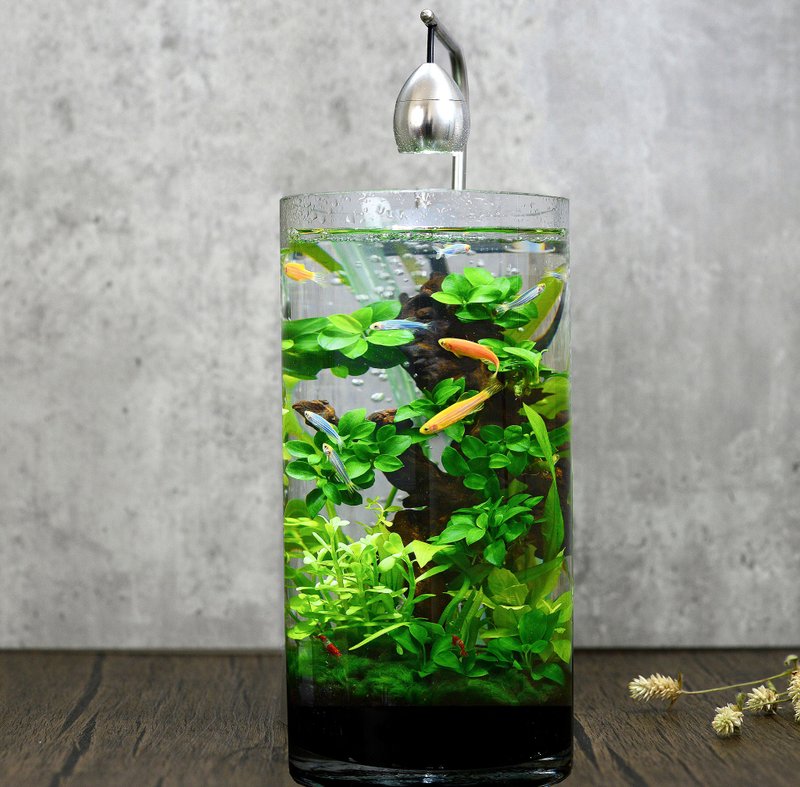 积木印象活水草生态纾压懒人鱼缸【高雅流木造景系列-窈窕雅木】 - 其他 - 玻璃 银色