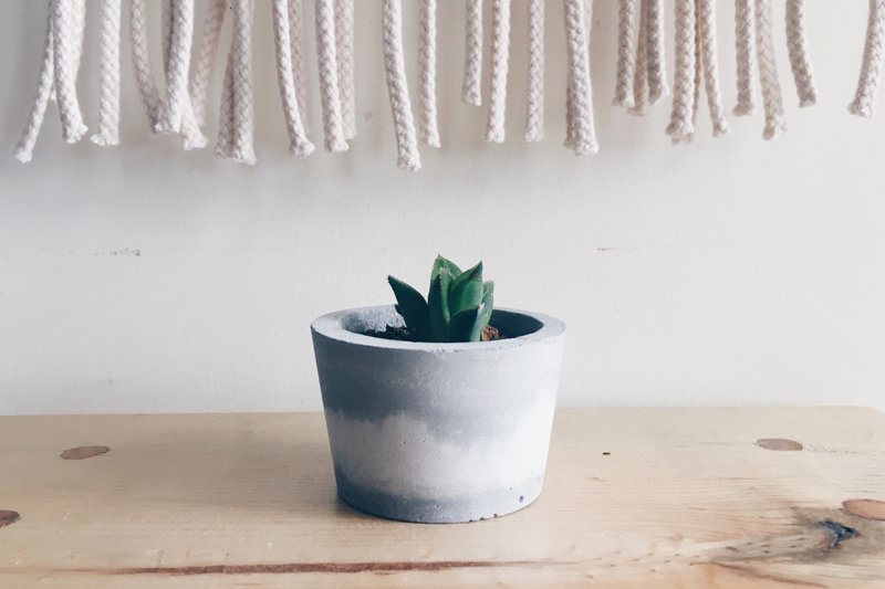 多肉水泥盘栽 (帝王寿) - 植栽/盆栽 - 水泥 灰色
