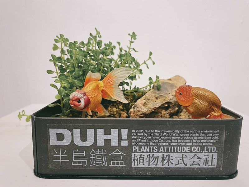 半岛铁盒 植物株式会社 - 植栽 - 植物．花 绿色