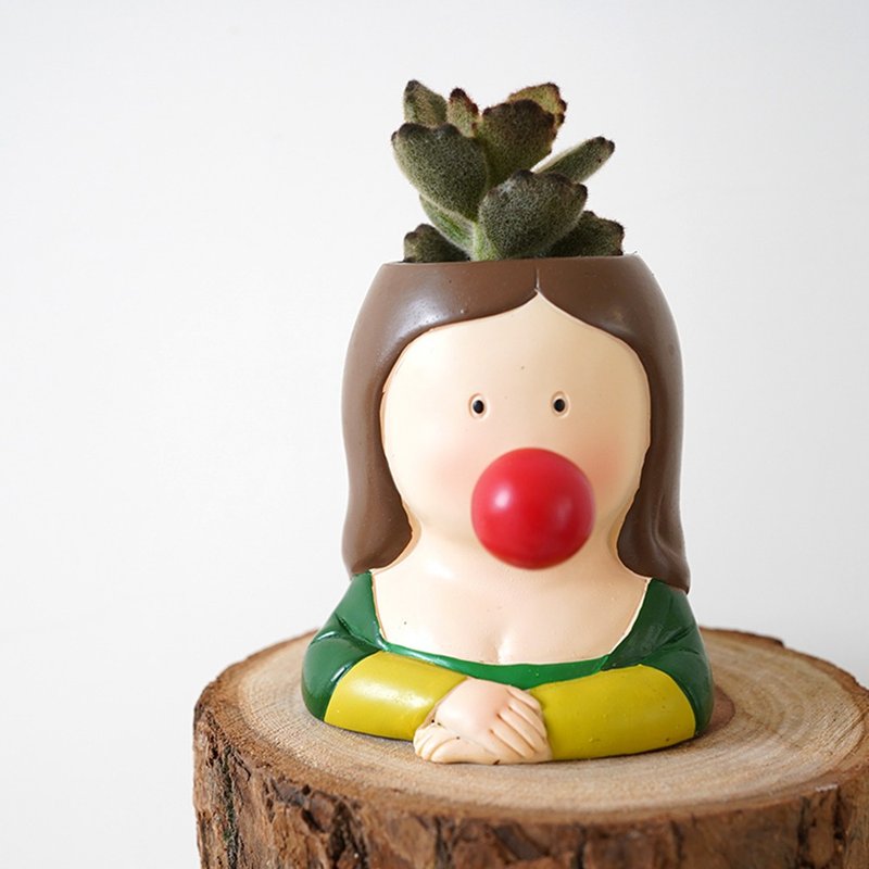 【竒植花物】泰迪熊多肉盆栽 蒙娜丽莎 多肉盆栽 生日礼物 - 植栽/盆栽 - 植物．花 