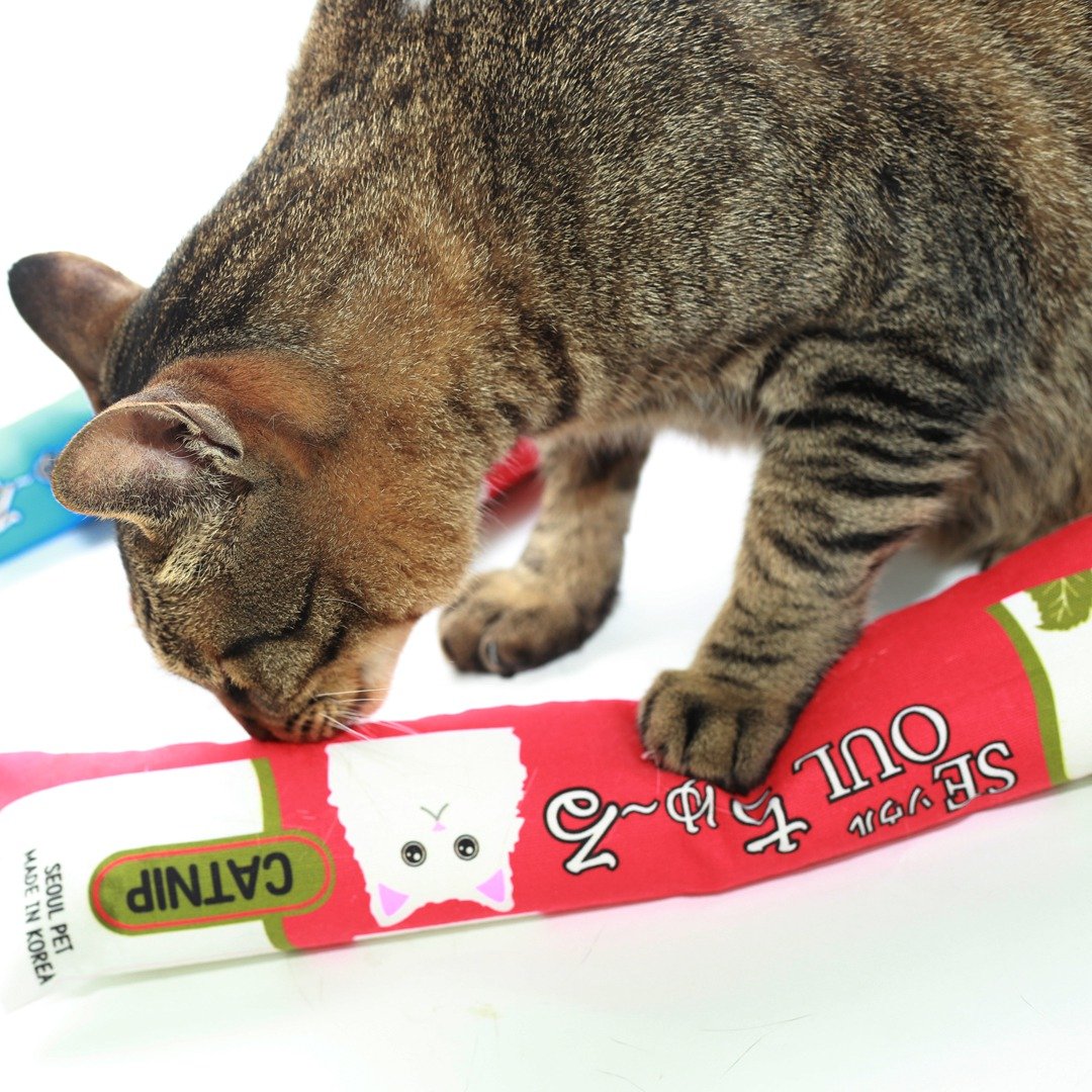 猫咪最爱 CHUR肉泥棒薄荷猫草包玩具-超大条34x8cm - 玩具 - 棉 